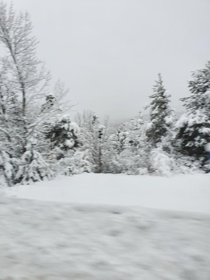 Coeur D'Altair Risoul 1850 Appartement T2 Confortable Skis Aux Pieds A 300 M Centre ภายนอก รูปภาพ